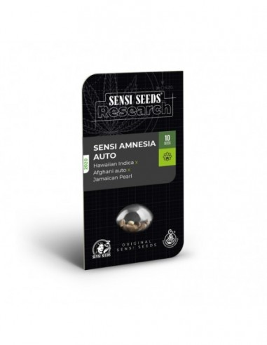 5 UND FEM - SENSI AMNESIA AUTO - SENSI SEEDS RESEARCH FEMINIZADA 5 UND