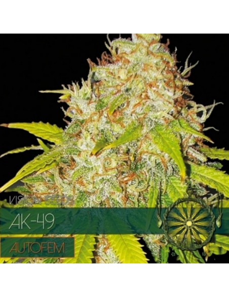 5 UND FEM - AK49 AUTOFLOWERING (ETIQUETA FRANCESA) - VISION SEEDS 5 UND FEMINIZADAS