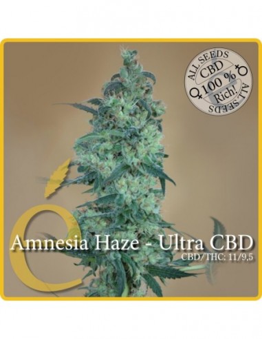 3 UND FEM - AMNESIA HAZE ULTRA CBD 