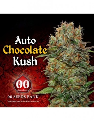 5 UND FEM - AUTO CHOCOLATE KUSH 