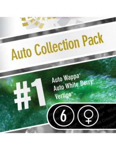 6 UND FEM - AUTO COLLECTION PACK 1 