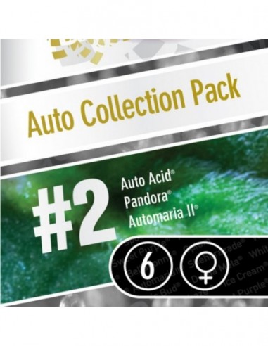 6 UND FEM - AUTO COLLECTION PACK 2 