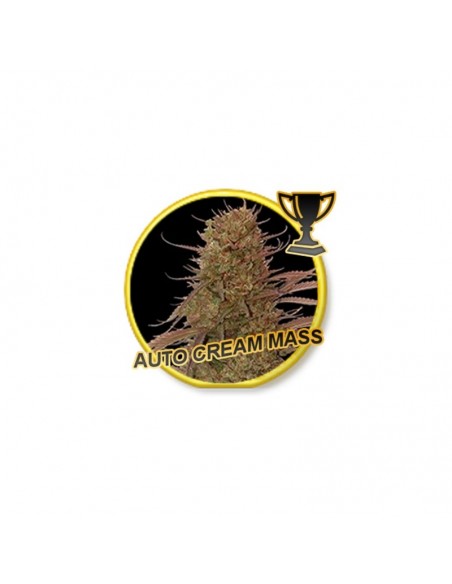 3 UND FEM - AUTO CREAM MASS 