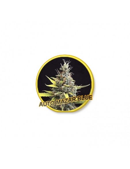 3 UND FEM - AUTO MAZAR BLUE 