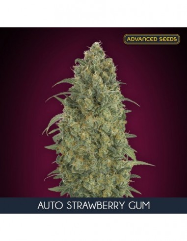 1 UND FEM - AUTO STRAWBERRY GUM 