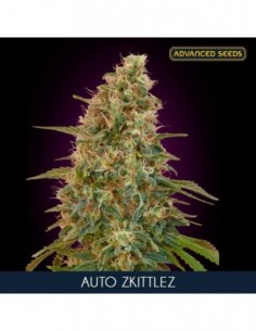 10 UND FEM - AUTO ZKITTLEZ   ADVANCED SEEDS 10 UND FEM