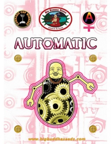 5 UND FEM - AUTOMATIC 