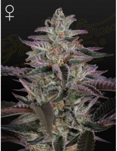 3 UND FEM - BANANA KRUMBLE 