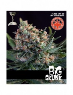 5 UND FEM - BIG SKUNK 
