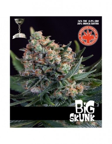 5 UND FEM - BIG SKUNK 