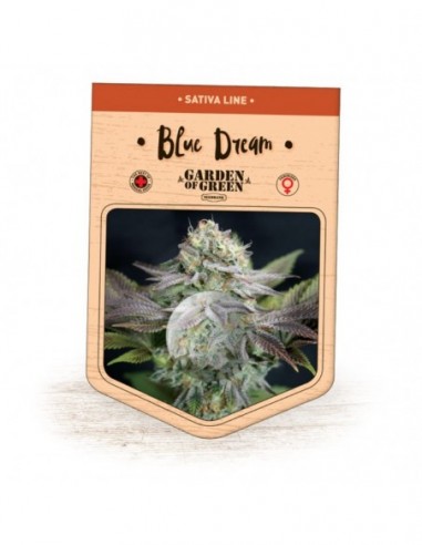 3 UND FEM - BLUE DREAM 