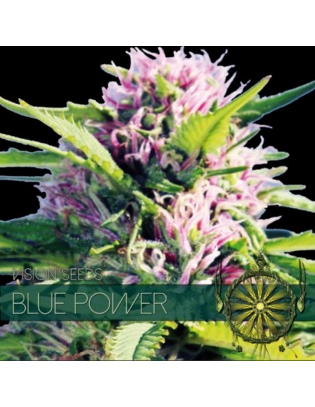 10 UND FEM - BLUE POWER (ETIQUETA FRANCESA) 