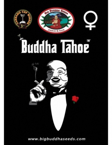 10 UND FEM - BUDDHA TAHOE 