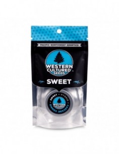 3 UND FEM - CASCADE CONNIE - SWEET   WESTERN CULTURED 3 FEMINIZADAS