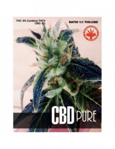 10 UND FEM - CBD PURE 