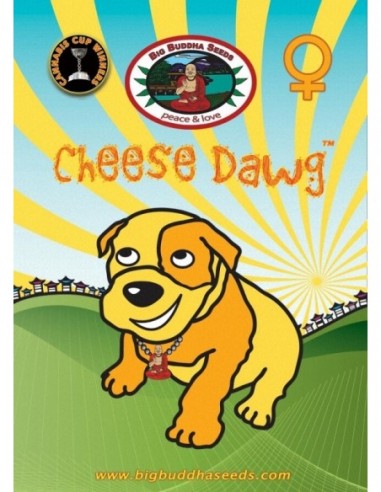 10 UND FEM - CHEESE DAWG 