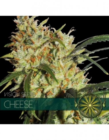 10 UND FEM - CHEESE (ETIQUETA FRANCESA) 