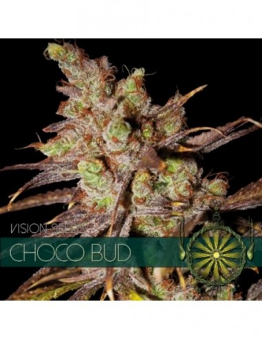 10 UND FEM - CHOCO BUD (ETIQUETA FRANCESA) 