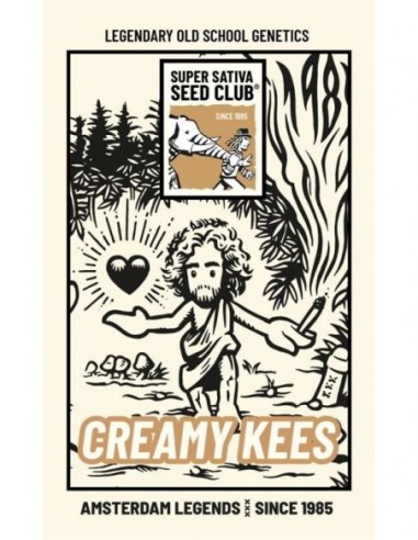 24 UND REG - CREAMY KEES 