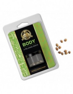 3 UND FEM - CRITICAL PURPLE KUSH   DAWG STAR 3 FEMINIZADAS