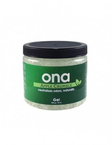 ONA GEL 732 GR APPLE CRUMBLE  SISTEMAS ANTIOLOR