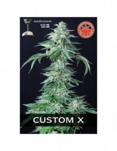 5 UND FEM - CUSTOM X 