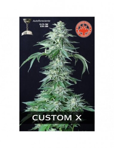 5 UND FEM - CUSTOM X 