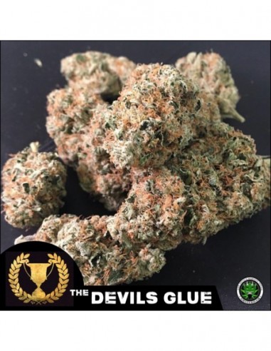 10 UND FEM - DEVIL'S GLUE 