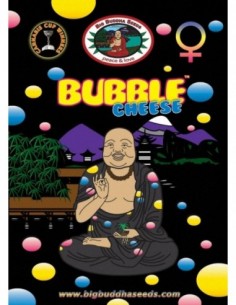 10 UND FEM - DOUBLE CHEESE 