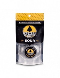 3 UND FEM - DUTCH TREAT - SOUR   WESTERN CULTURED 3 FEMINIZADAS