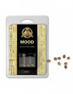 3 UND FEM - EWOK - DAWG STAR 3 FEMINIZADAS