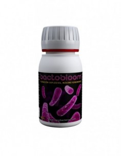 BACTOBLOOM 50 GR  COMPLEMENTOS AGROBACTERIAS