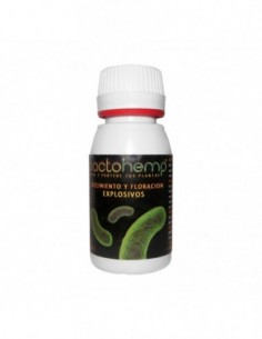 BACTOHEMP 50 GR  COMPLEMENTOS AGROBACTERIAS