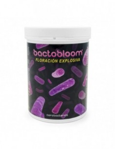 BACTOBLOOM 850 GR  COMPLEMENTOS AGROBACTERIAS