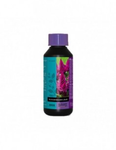 B'CUZZ BLOSSOM BUILDER LIQUID 250 ML  ATAMI