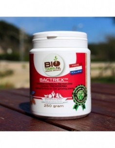 BACTREX 250 GR.  BIOTABS