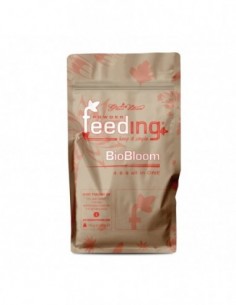 GREEN HOUSE POWDER FEEDING BIO BLOOM 125 GR  GREEN HOUSE FERTILIZANTES
