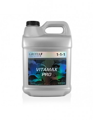 VITAMAX PRO 10 L. GROTEK