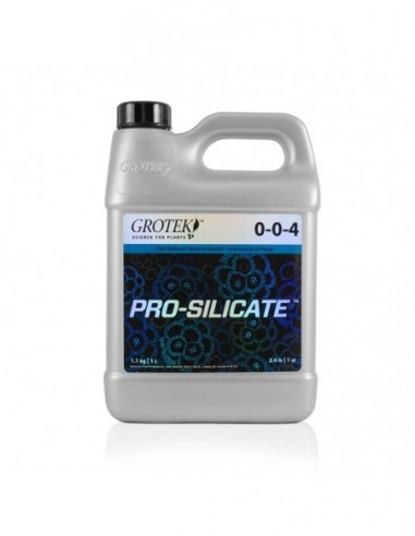 PRO SILICATE 1 L. GROTEK
