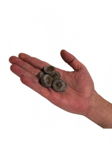 PASTILLAS JIFFY 24 MM (2000 UDS) * SUSTRATOS