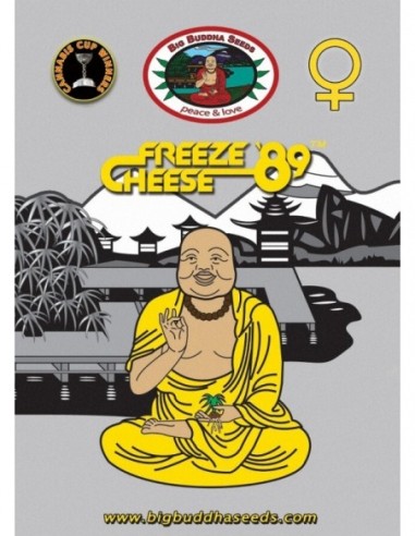 5 UND FEM - FREEZE CHEESE 89 