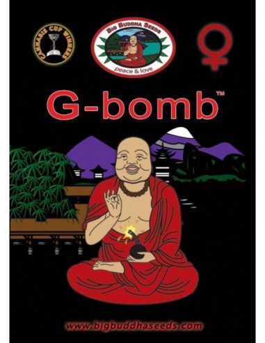 5 UND FEM - G-BOMB * BIG BUDDHA SEEDS 5 UND FEMINIZADAS