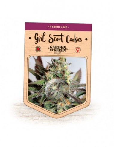 1 UND FEM - GIRL SCOUT COOKIES 