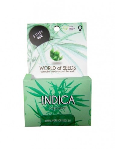 8 UND FEM - INDICA COLLECTION (WOS) 