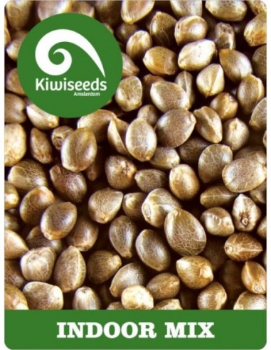 3 UND FEM - INDOOR MIX 