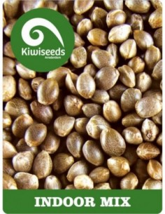 5 UND FEM - INDOOR MIX 