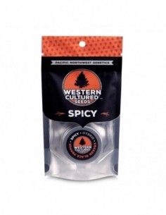 10 UND FEM - KRAKEN BLACK PEPPER - SPICY   WESTERN CULTURED 10 FEMINIZADAS