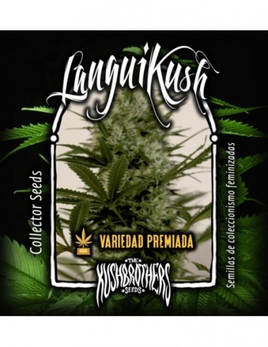 5 UND FEM - LANGUI KUSH 