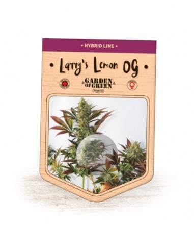 15 UND FEM - LARRY'S LEMON OG 