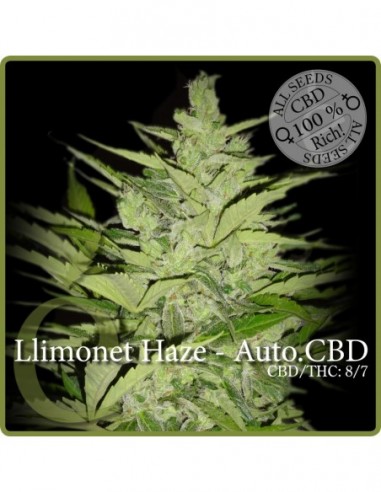 7 UND FEM - LLIMONET HAZE AUTO CBD 